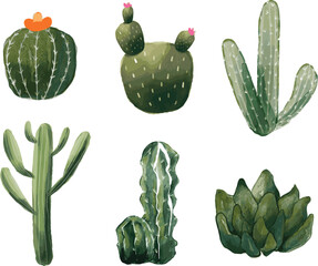 Fototapeta premium watercolor cactus icon vector illustration