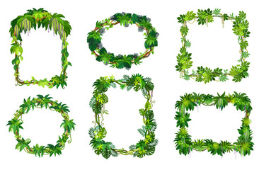 Tropical jungle frames of forest liana branches and leaves or ivy vines, vector borders. Cartoon tropical liana frames of rainforest creeping plants, jungle bindweed tree tendrils and monstera leaves