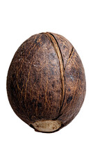 Natural brown seed on close-up photography studio environment isolated concept