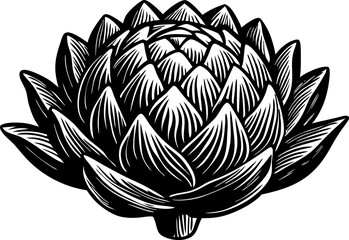 Artichoke with intricate layers of leaves, drawn in an engraved, woodcut style sketch engraving vector