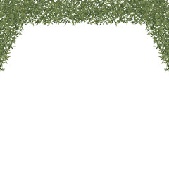 Dark grern leaves frame border