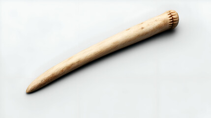 Off-White Elongated Bone Artifact on Light Gray Background