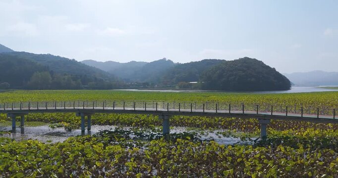 view of the river