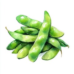 Watercolor Painting of Fresh Green Edamame Pods