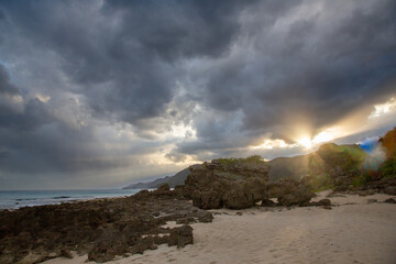 奄美大島の海岸周辺の風景