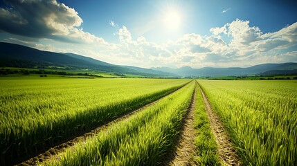 Naklejka premium Green Leaves Reflecting in Calm Water, Serene Nature Background