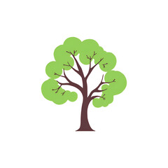 Fototapeta premium tree png