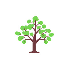 tree png