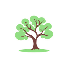 Obraz premium tree png