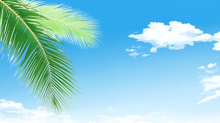 Green Palm Leaf Against a Blue Sky with Fluffy White Clouds