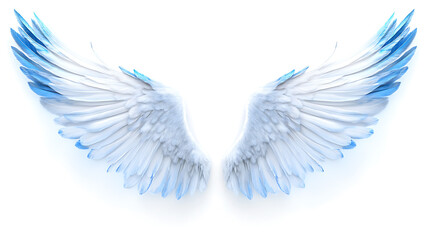 Obraz premium Wings, wallpaper, the beautiful symbol of freedom