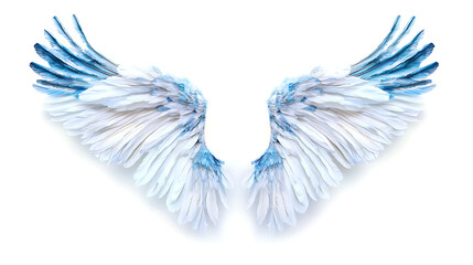 Obraz premium Wings, wallpaper, the beautiful symbol of freedom
