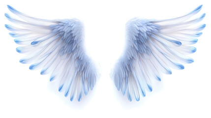 Fototapeta premium Wings, wallpaper, the beautiful symbol of freedom