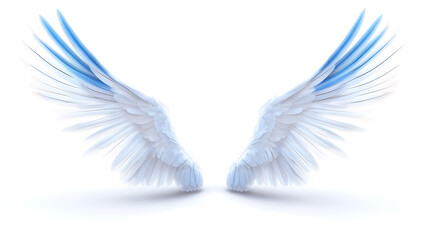 Obraz premium Wings, wallpaper, the beautiful symbol of freedom