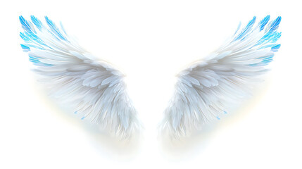Wings, wallpaper, the beautiful symbol of freedom