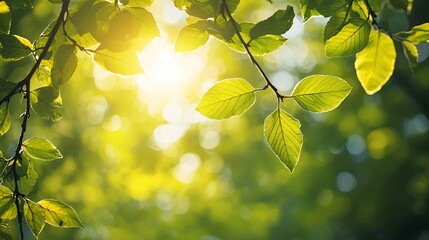 Obraz premium Lush Green Tropical Leaves on Beige Background