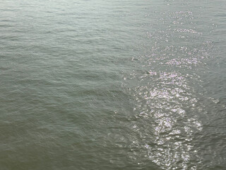 Glistening Water Surface