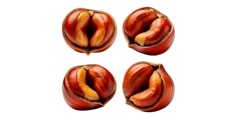 Falling Hazelnut, isolated on white background, full depth of field