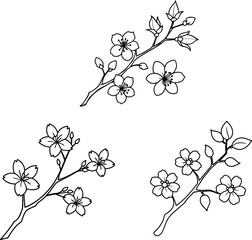 Delicate Cherry Blossom Line Art Vector Set