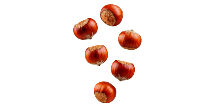Falling Hazelnut, isolated on white background, full depth of field