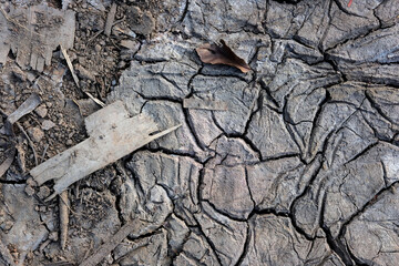 texture of the old wood and crack  soil