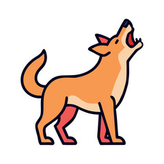 Australia dingo wildlife