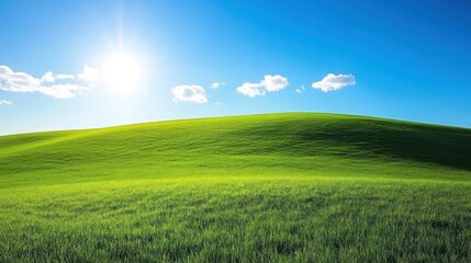 Obraz premium Sunny day, green rolling hills and vibrant grass field.