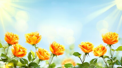 Orange Roses Blooming in a Sunny Garden