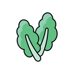 Lettuce Vector icon