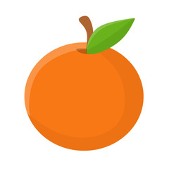 Fresh orange fruit vector illustration