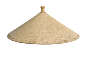 Tan straw hat with a brown top and a brown stem, isolated