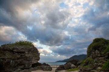奄美大島の海岸周辺の風景