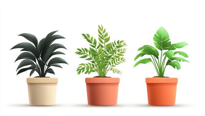 Obraz premium Indoor Plants in Pots, White Background, Realistic Illustration