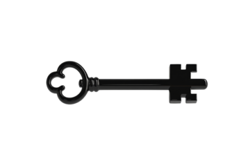 Black key with a gold handle, isolated