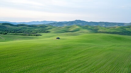 Fototapeta premium Rolling hills, green field, lone house, mountain background; nature landscape