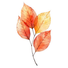 Fototapeta premium Watercolor style representation of dry autumn leaves, soft colors and artistic flair, isolated on white background. cutout png