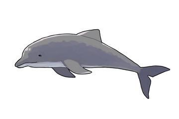	イルカのイラスト