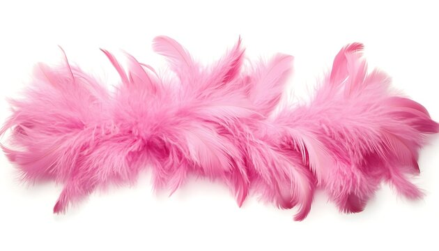 Pink feather boa isolated on white background, party isolated png like style.. Isolated on white background 
