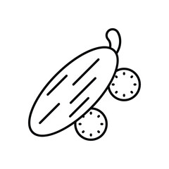 Cucumber Vector icon