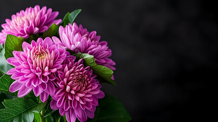 Close-Up of Purple Chrysanthemum Bouquet Against Dark Background