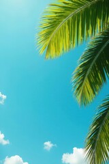 Naklejka premium Sun-drenched palm fronds, vibrant green against a cloudless azure sky , texture, tropical background