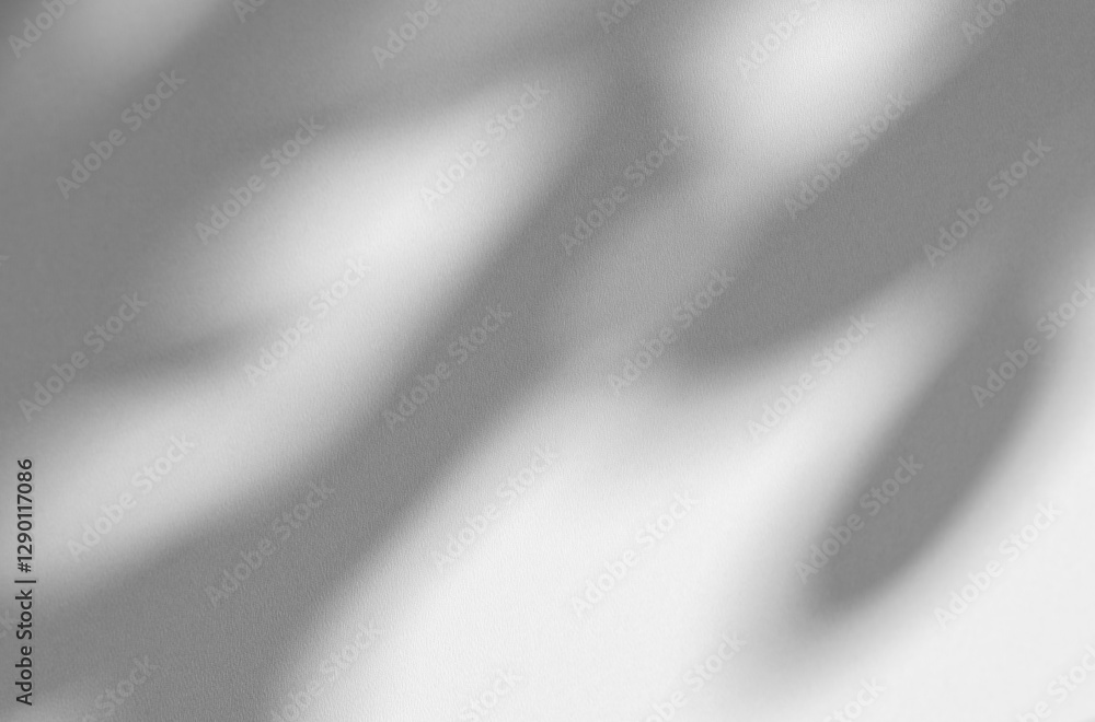 Poster Wall interior background, studio and backdrops show products.with shadow from window color white and grey. background for text insertion and presentation product	