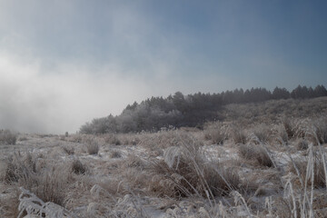美しい青空と霧氷