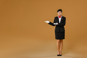 Smiling stewardess showing something on brown background. Space for text