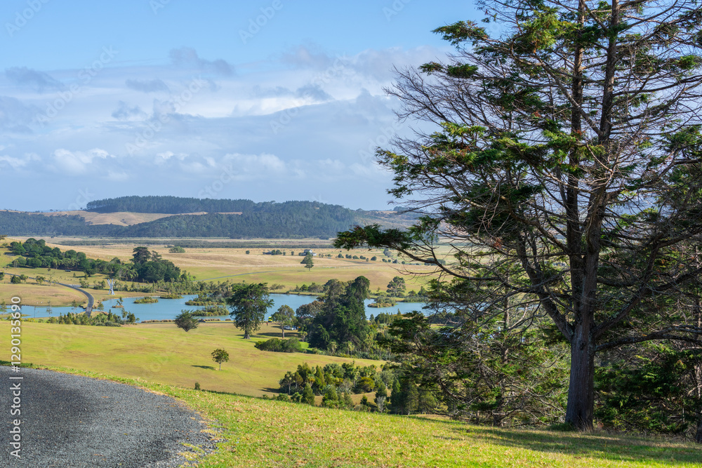 Wall mural Kaipara rural landscape and outlook to distant harbour