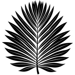 black and white feather