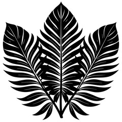 Obraz premium set of leaves