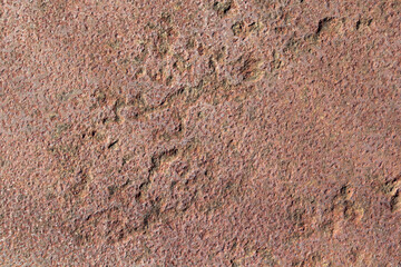 Textured brown surface close-up abstract background