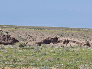 amazing view of beautiful nature
