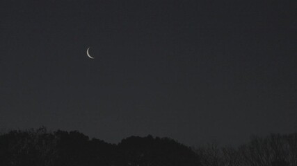 Tokyo, Japan - February 25, 2025: A moon shining between branches at winter dawn